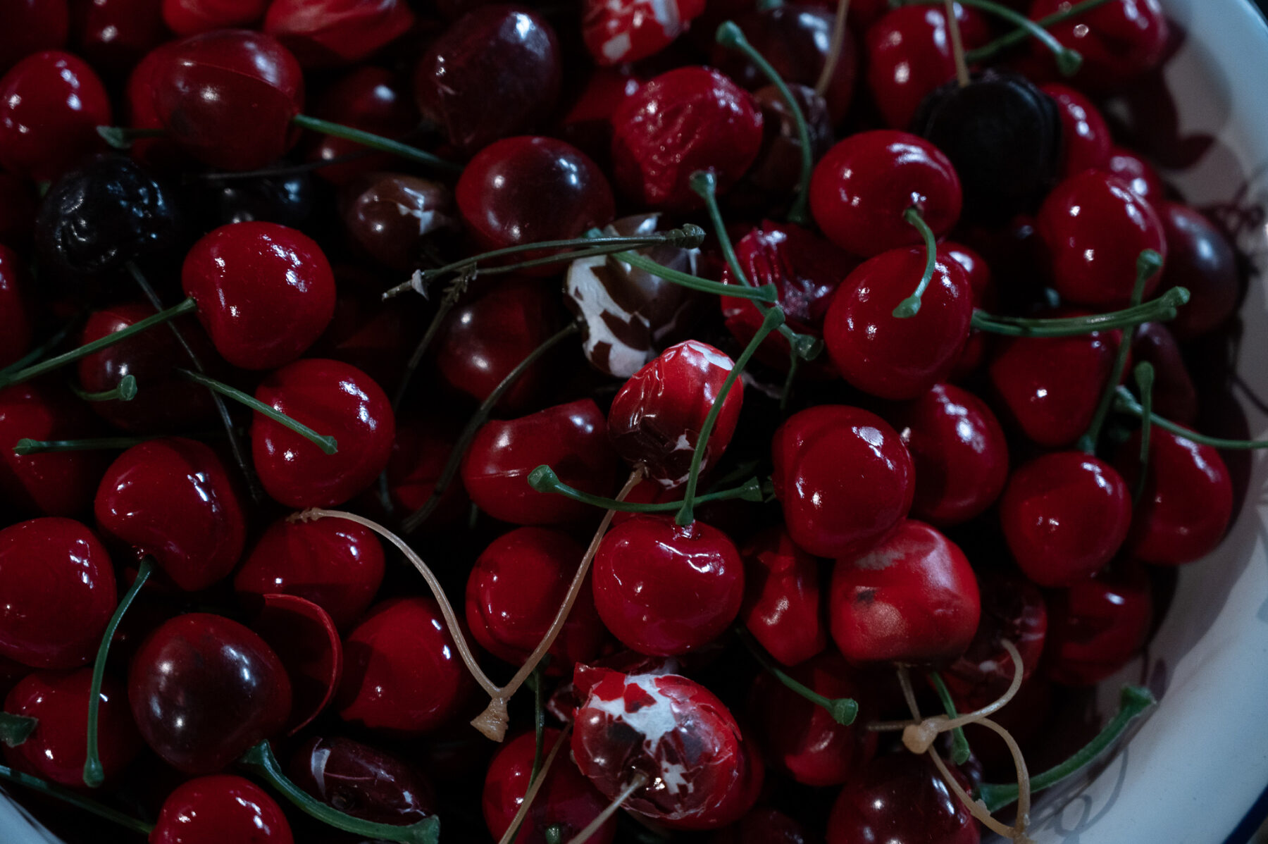 Photo by Johanna Austin.